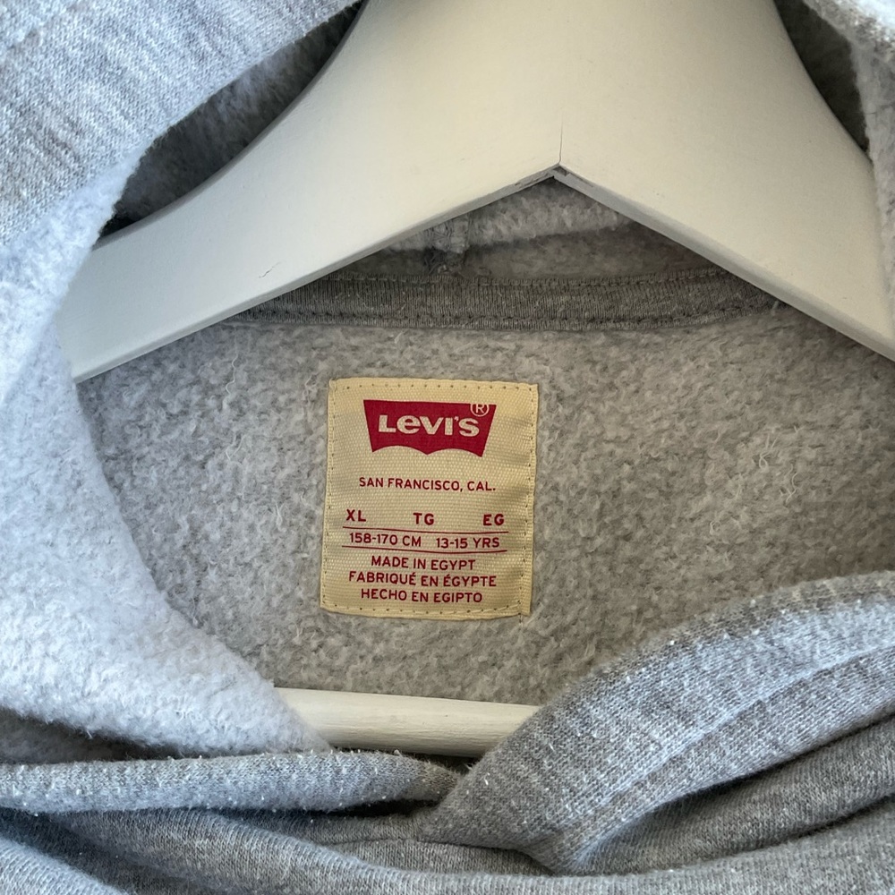 LEVI’S LOGO HOODIE - Picture 5 of 5